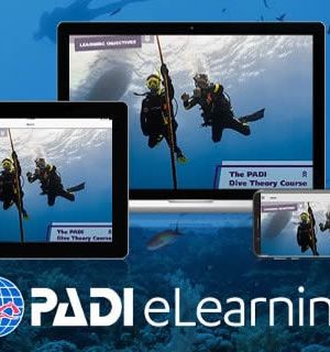 Gift the PADI eLearning academics