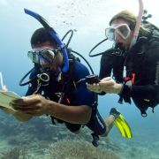 sample padi medical questions for scuba divers