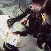 Discover Scientific Diving - Reef Check