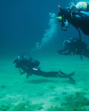 Mar 12 Sunday Boat Dives