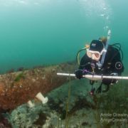 best reef check scientific diver program