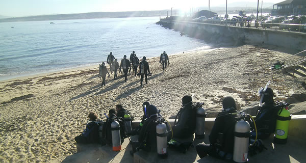 Mar 23-24 Monterey Weekend Ocean Dives