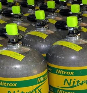 Gift the Nitrox Enriched Air Diver