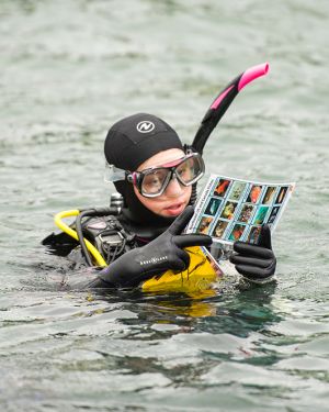 Reef Check Kelp Forest Monitoring Training Course