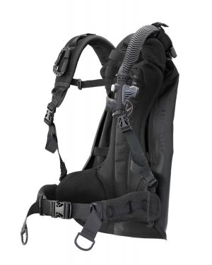 Rogue BCD