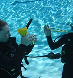 May 4-5 Weekend Rescue Diver Course