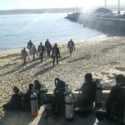 Monterey divers wait to enter the water