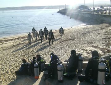 Monterey divers wait to enter the water