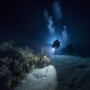 Jun 15 Saturday Night Beach Dive