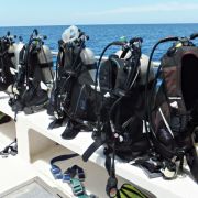 Boat Scuba Dives in Monterey